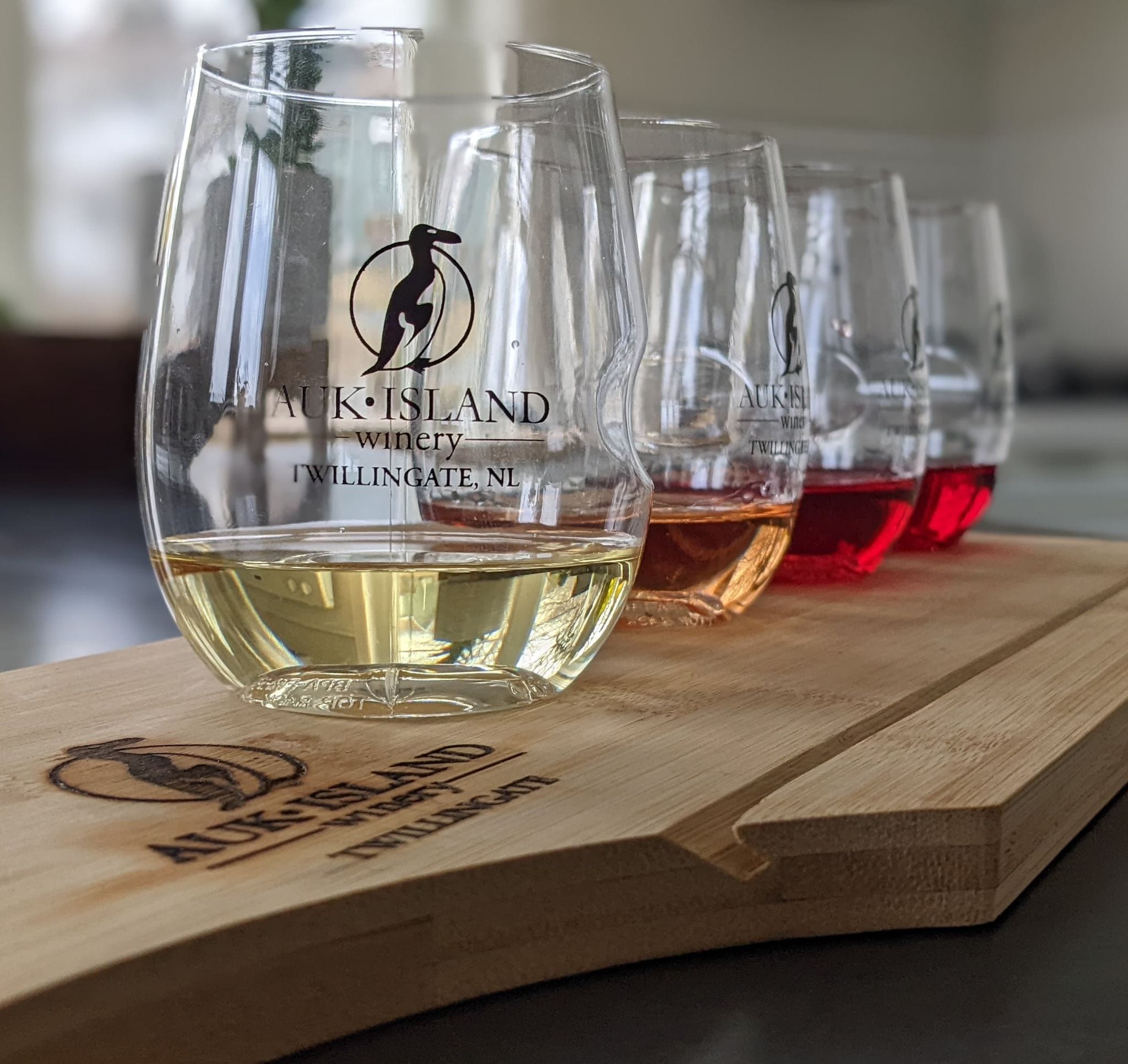 Wine flight at Great Auk Winery