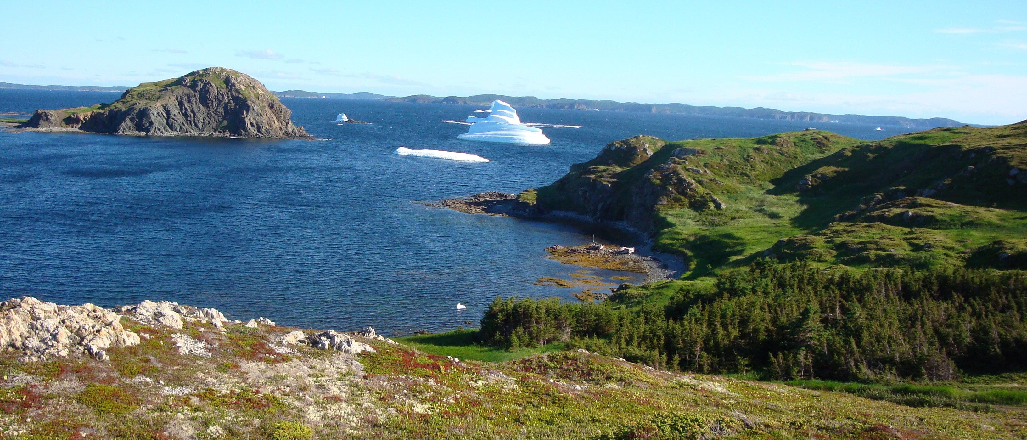 Iceberg-strewn coastline near Twillingate